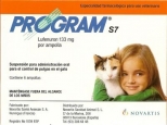 Program S7 Ampolla